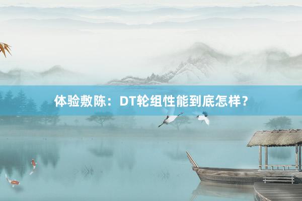 体验敷陈：DT轮组性能到底怎样？